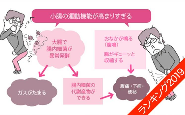 腸の新常識 よくおなかをこわすのは糖質が原因かも 2019年総合ランキング1位 再掲 じつは治せる おなかの弱い人 の胃腸トラブル 江田証 幻冬舎plus