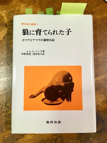 世界中で研究 オオカミに育てられた子 の実記は嘘だった その1 オオカミ少女に気をつけろ 泉美木蘭 幻冬舎plus