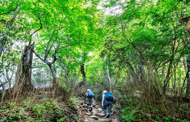 大きな旅 小さな旅 霊格がアップする 霊山登山修行 のススメ 再掲 運玉 桜井識子 幻冬舎plus