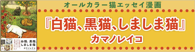 白猫、黒猫、しましま猫