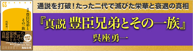 真説 豊臣兄弟とその族