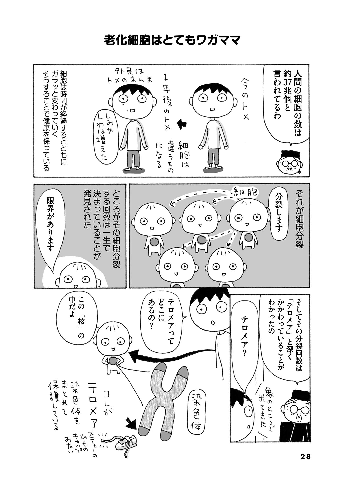 齢をとるとカラダのあちこちが痛くなる理由 12月2日講座開催 老いる自分をゆるしてあげる 上大岡トメ 幻冬舎plus 齢をとるとカラダのあちこちが痛くなる理由 12月2日講座開催 老いる自分をゆるしてあげる 上大岡トメ 幻冬舎plus