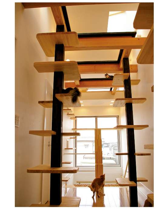 猫が遊び回れる 安定したキャットウォーク をつくる へぐりさんちは猫の家 廣瀬慶ニ 幻冬舎plus