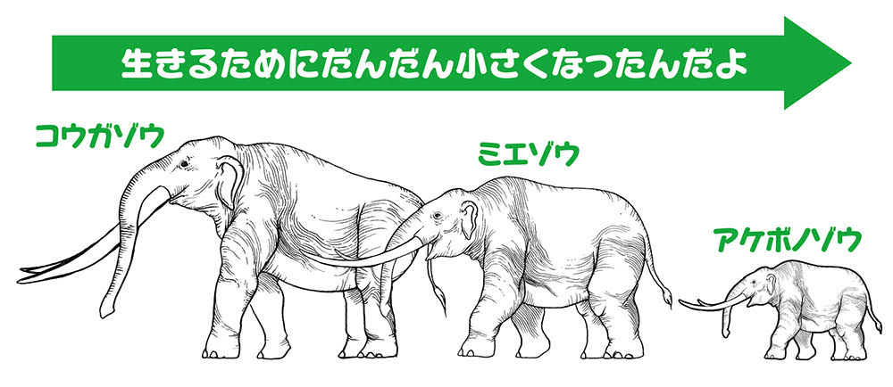 サイズダウンする ことの利点を古生物に教えてもらう 古生物のしたたかな生き方 土屋健 幻冬舎plus