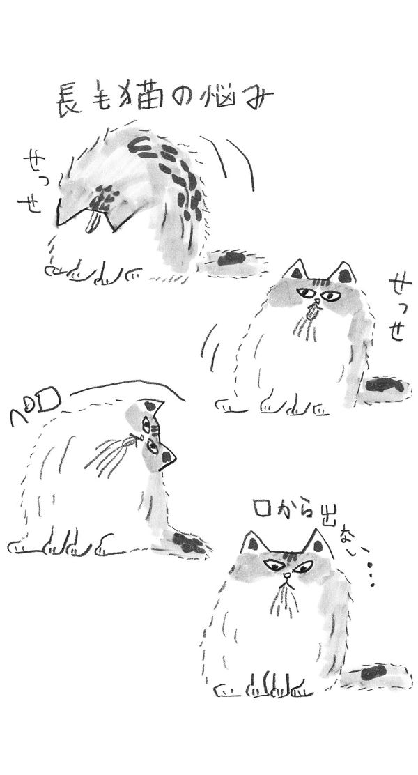 猫が可愛いのには理由がある|幻冬舎ねこ文庫?発売記念特集|幻冬舎