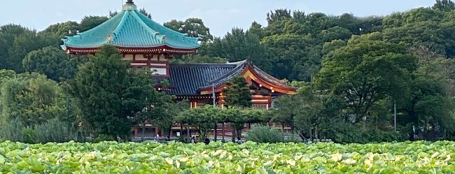 東洋二十四節気 星占い7月22日 大暑 の時期の運勢 ホロスコープ歳時記 小池雅章 青山五行 幻冬舎plus 東洋二十四節気 星占い7月22日 大暑 の時期の運勢 ホロスコープ歳時記 小池雅章 青山五行 幻冬舎plus