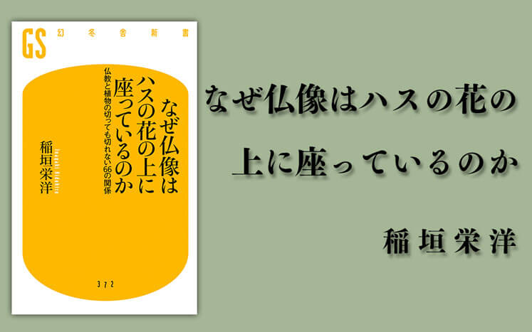 第1回 釈迦は 植物のように生きよ と説いた なぜ仏像はハスの花の上に座っているのか 稲垣栄洋 幻冬舎plus