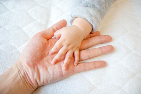 大人の手に重なる乳児の小さい手の写真